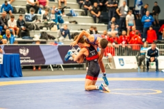B-IMG-43